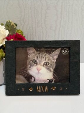 NEW Vintage Grasslands Road MEOW Faux Cement Kitty Cat Frame